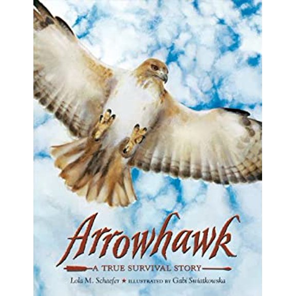 Pre-Owned Arrowhawk: A True Survival Story (Paperback) 1250039886 9781250039880