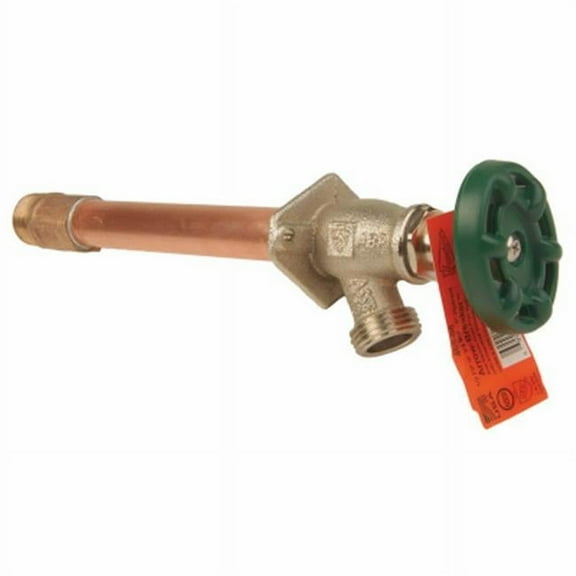 Arrowhead Brass & Plumbing 465-06LF 6 in. Frost Free Hydrant