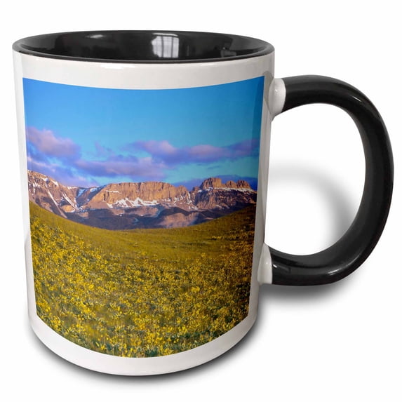 3drose, Arrowleaf Balsamroot, Sawtooth Ridge, Montana - Us27 Cha2457 - Chuck Haney, 11oz Two-tone Black Mug