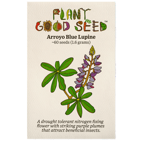 Arroyo Lupine Flower Seeds