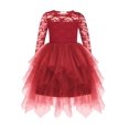 thumbnail image 1 of Arshiner Flower Girl Dress Toddler Contrast Lace Tutu Irregular Tulle Wedding Birthday Party Dresses, 1 of 6