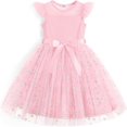 thumbnail image 1 of Arshiner Girls Toddler Dress Summer Ruffle Sleeve Mesh A Line Formal Party Tulle Dresses with Pockets, 1 of 7