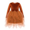 thumbnail image 1 of Arshiner Toddler Girls Dresses Sparkly Tulle Dress Fall winter Velvet Dresses for Toddler, Irregular Tulle and Cute Bowknot Design, Great for Halloween Christmas Holiday Party, 1 of 5