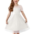 thumbnail image 1 of Arshiner Toddler Girls Tulle Summer Puff Sleeve Baby Girls Tutu Princess Party Casual Dress, 1 of 7