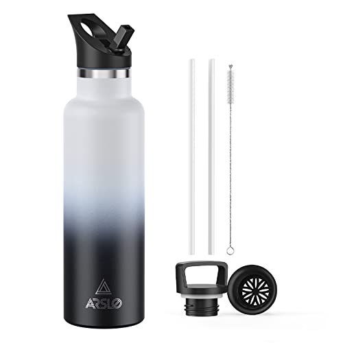 Arslo Stainless Steel Double Wall Water Bottles, Vacuum Insulated Bottle With Straw Lid, Insulated Water Bottle Keeps Water Cold for 24 Hours, Hot for 12 Hours, Hiking, Sports