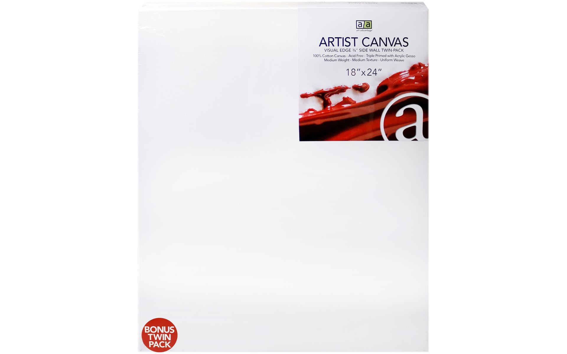 Art Advantage Painting Surface Artist Canvas Visual Edge 14x 18 2pc
