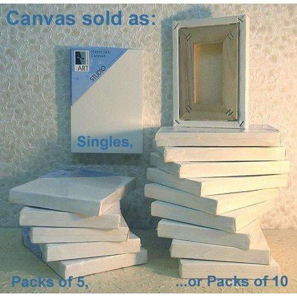Art Alternatives 18 X 36 Inch PreStretched Studio Canvas (Pack Of 5