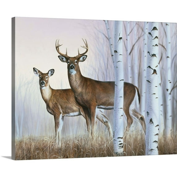 Great Big Canvas "Deer In Birch Woods" by Rusty Frentner Gray Black Wrapped Canvas Print Wall Artwork