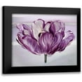 thumbnail image 1 of Art Atelier Alliance 14x12 Black Modern Framed Museum Art Print Titled - Awash In Plum Tulip, 1 of 5