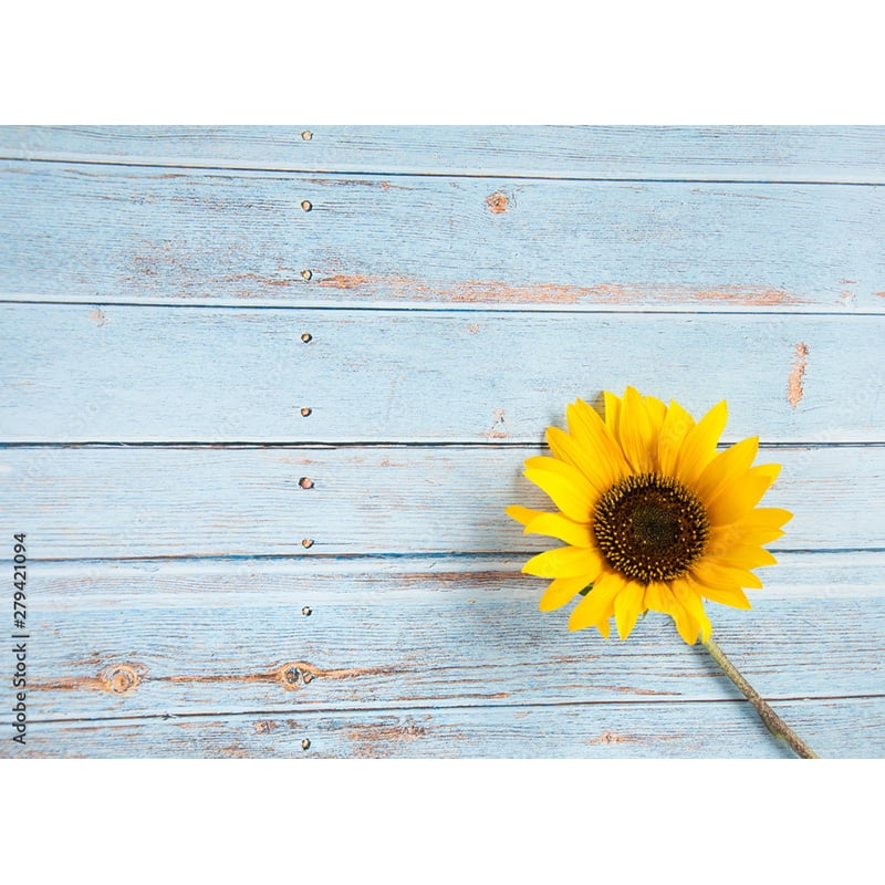 Art Fabric Photography Backdrops Props Flower Wood Planks Photo Studio Background HBB07