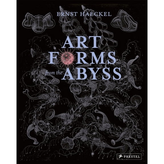 Art Forms from the Abyss : Ernst Haeckel's Images From The HMS Challenger Expedition (Paperback)