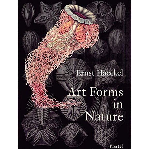 Pre-Owned Art Forms in Nature: Prints of Ernst Haeckel Paperback
