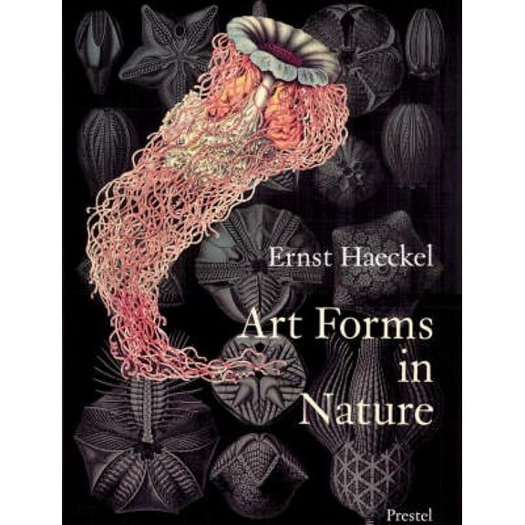 Art Forms in Nature : The Prints of Ernst Haeckel (Paperback)