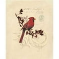 thumbnail image 1 of Art In Motion PDX122BAR1184SMALL Filigree Cardinal Poster Print by Chad Barrett, 11 x 14 - Small, 1 of 1