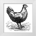 thumbnail image 1 of Art Licensing Studio 12x12 White Modern Wood Framed Museum Art Print Titled - Chicken Scratch, 1 of 4