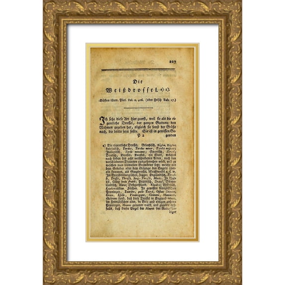 Art Licensing Studio 12x18 Gold Ornate Wood Framed with Double Matting Museum Art Print Titled - Die Weibdroffel
