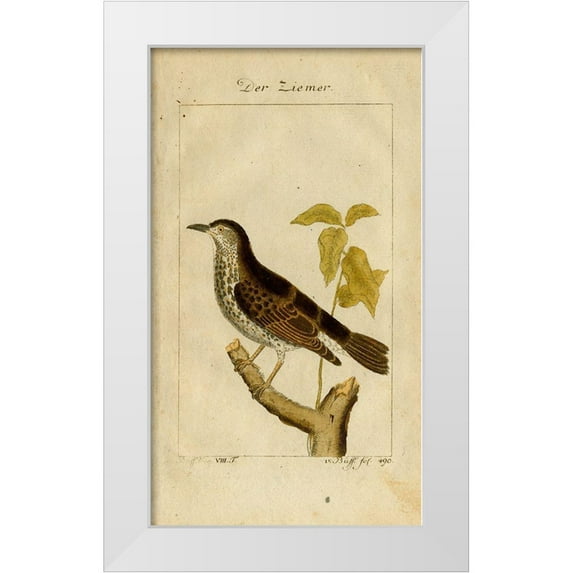 Art Licensing Studio 12x18 White Modern Wood Framed Museum Art Print Titled - Der Ziemer