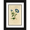 thumbnail image 1 of Art Licensing Studio 22x32 Black Ornate Wood Framed with Double Matting Museum Art Print Titled - Blue Flower, 1 of 4