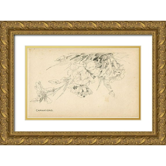 Art Licensing Studio 32x21 Gold Ornate Wood Framed with Double Matting Museum Art Print Titled - Carnations
