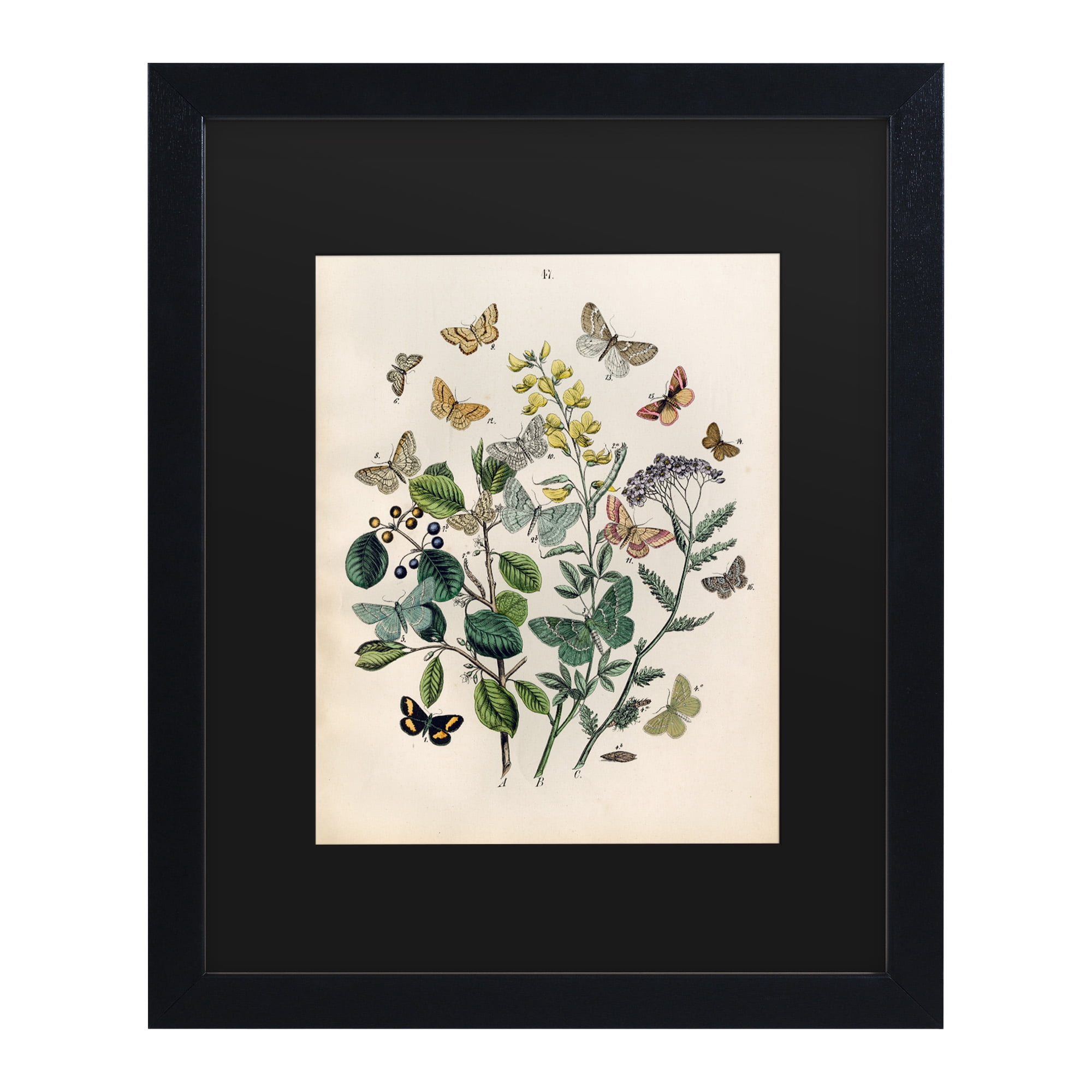 Art Licensing Studio 'Papillion Butterflies' Matted Framed Art