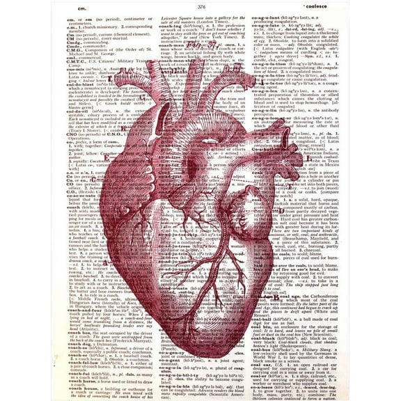art n wordz red anatomical heart original dictionary sheet pop art wall or desk art print poster