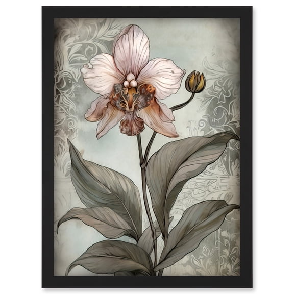Art Nouveau Pink Orchid Bloom Flower Watercolour Artwork Framed Wall Art Print A4