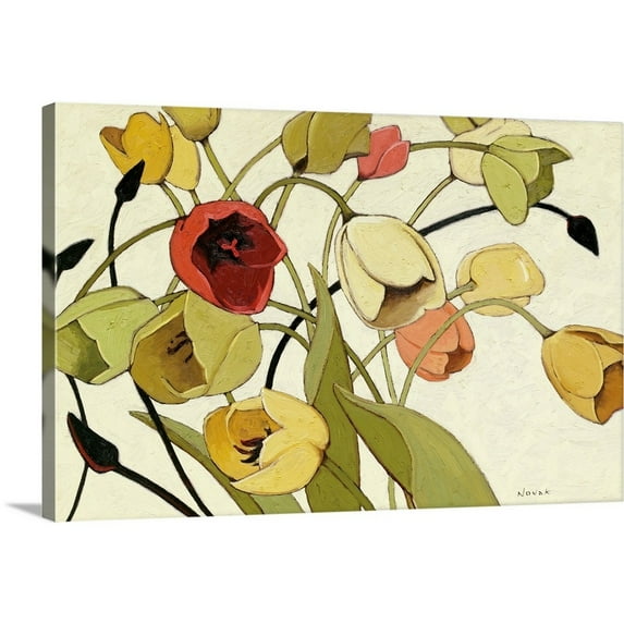 Great Big Canvas "Tulip Toss" by Shirley Novak White Brown Wrapped Canvas Print Wall Artwork