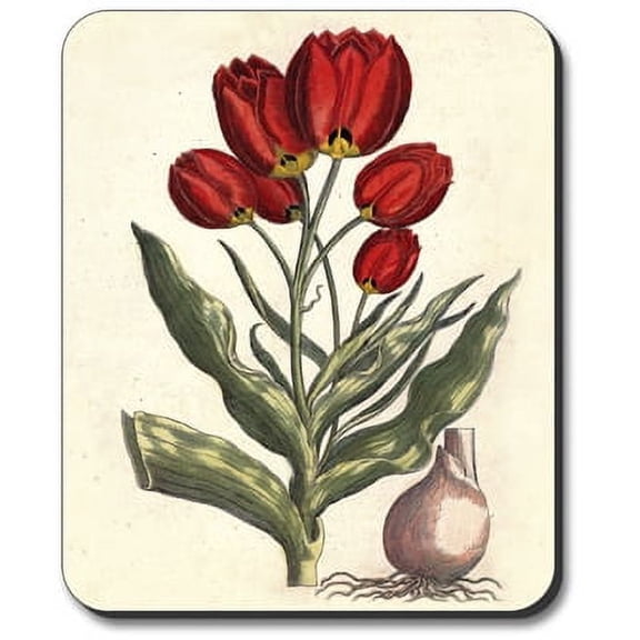 Art Plates brand Mouse Pad - Van Gogh - Oleanders