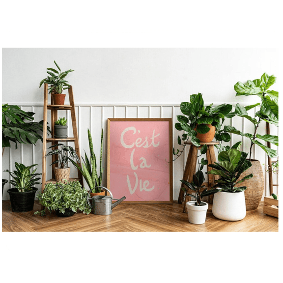 Art Print C'Est La Vie Art Print Trendy Art Print Bar CArt Print Dorm Decor Art Pink Wall Art