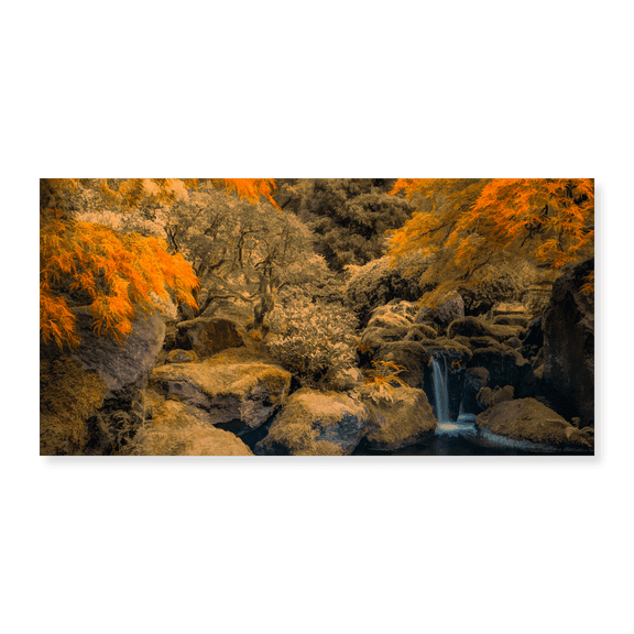 Art Print (Unframed), Autumn Waterfall by Don Schwartz, 15" x 24"