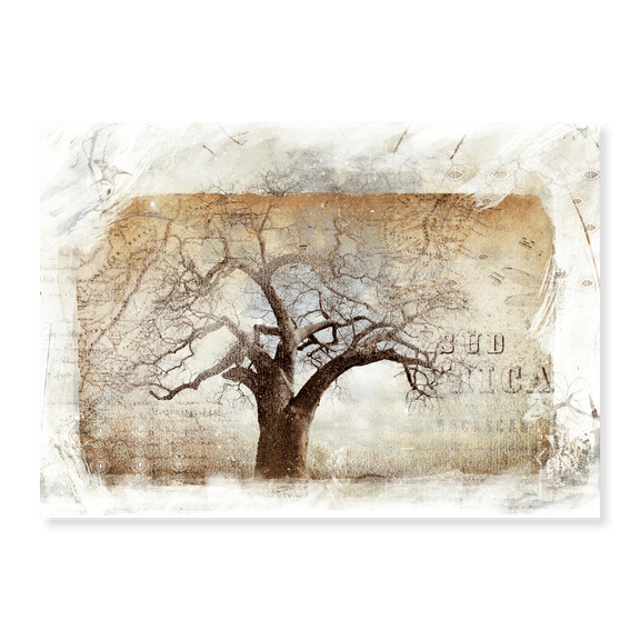 Art Print (Unframed), Baobab Tree Africa by Klaus Tiedge, 16" x 20"