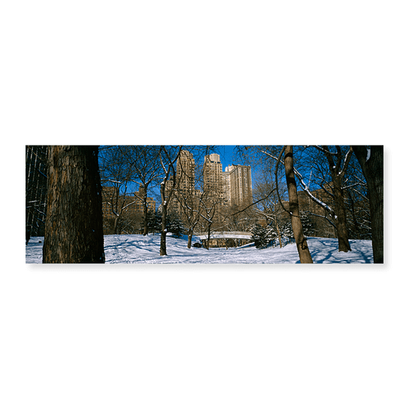 Art Print (Unframed), Bare trees with buildings in the background by Panoramic Images, 24" x 8"