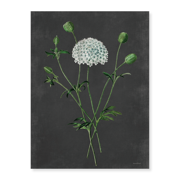 Art Print (Unframed), Bloom and Pods by lettered & lined, 16" x 20"