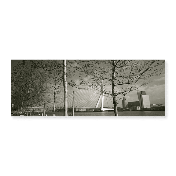 Art Print (Unframed), Bridge Over A River by Panoramic Images, 24" x 8"