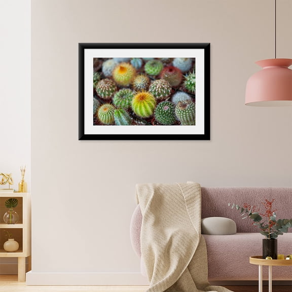 Art Print (Unframed), Close-up of multi-colored Cacti by Panoramic Images, 16" x 20"