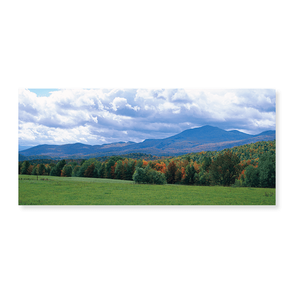 Art Print (Unframed), Clouds over a grassland by Panoramic Images, 12-1/2" x 20"