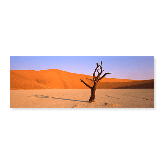 Art Print (Unframed), Dead tree in a desert by Panoramic Images, 30" x 10"