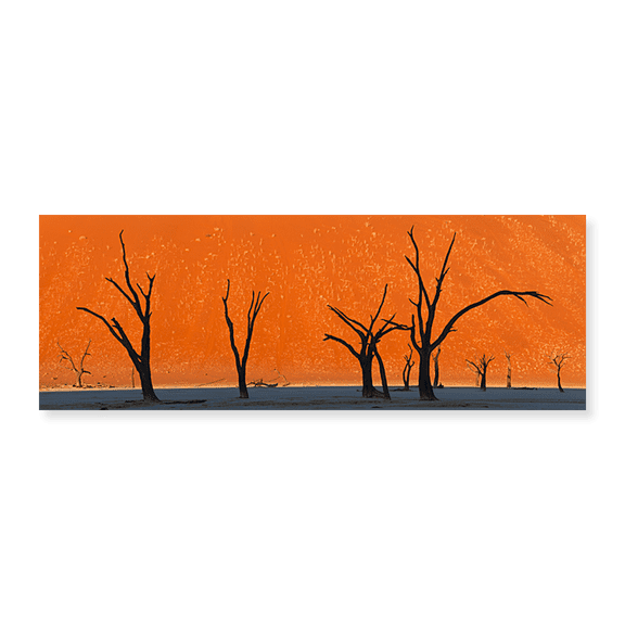 Art Print (Unframed), Dead trees by red sand dunes by Panoramic Images, 30" x 10"