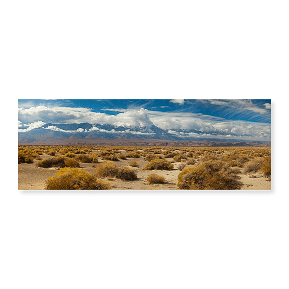 Art Print (Unframed), Death Valley landscape by Panoramic Images, 24" x 8"