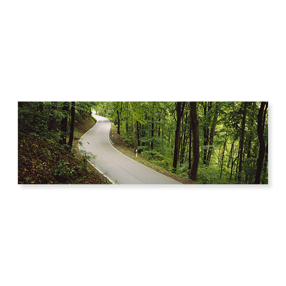 Art Print (Unframed), Empty road running through a forest by Panoramic Images, 24" x 8"