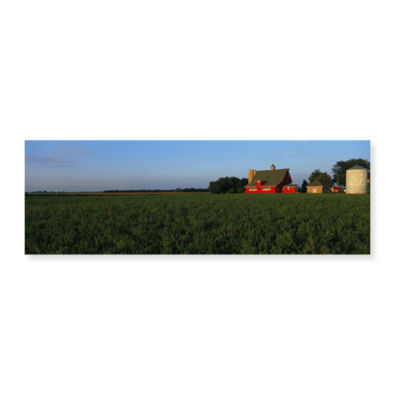 Art Print (Unframed), Farm Fields Stelle IL USA by Panoramic Images, 24" x 8"