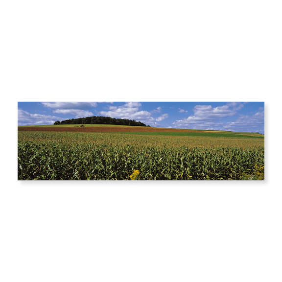 Art Print (Unframed), Field Of Corn With Tractor In Distance by Panoramic Images, 24" x 8"