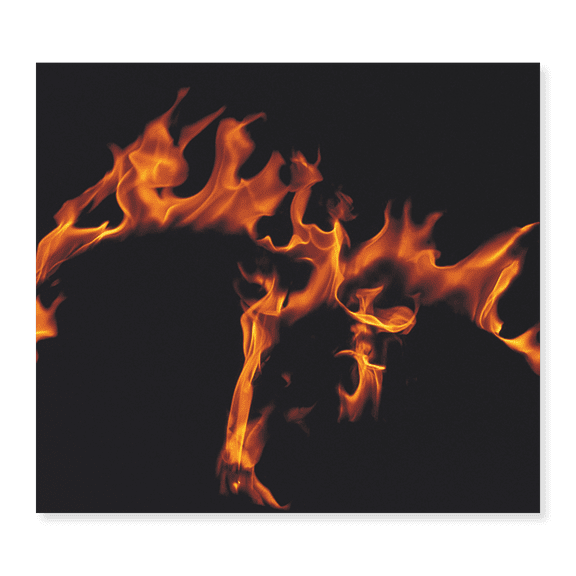 Art Print (Unframed), Flames by Panoramic Images, 16" x 20"