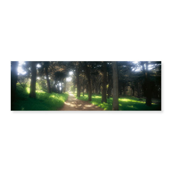 Art Print (Unframed), Footpath passing through a park by Panoramic Images, 24" x 8"