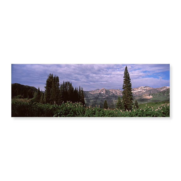 Art Print (Unframed), Forest by Panoramic Images, 24" x 8"