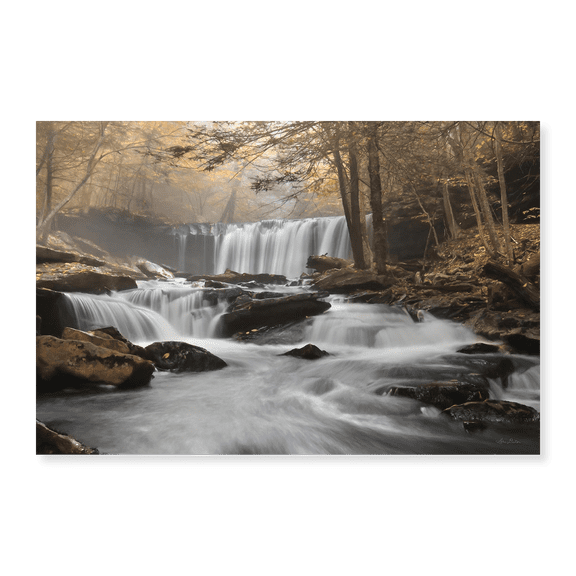 Art Print (Unframed), Golden Oneida Falls by Lori Deiter, 16" x 20"