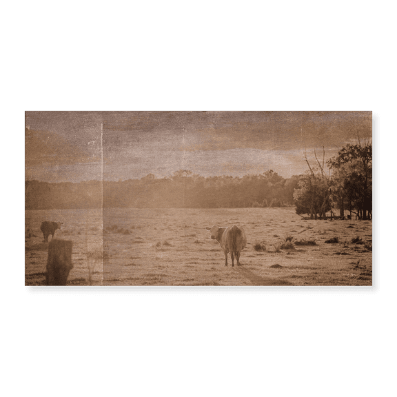 Art Print (Unframed), Good Evening by Jennifer Rigsby, 10" x 16"