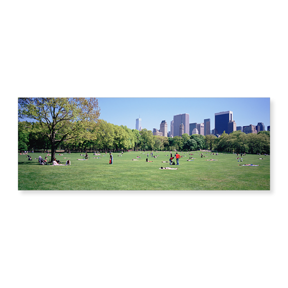 Art Print (Unframed), Group Of People In A Park by Panoramic Images, 24" x 8"