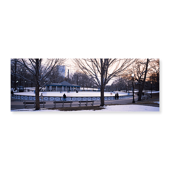 Art Print (Unframed), Group of people in a public park by Panoramic Images, 24" x 8"