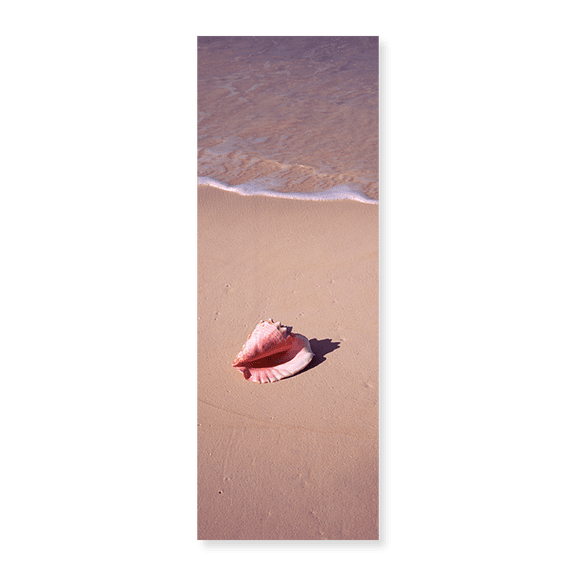 Art Print (Unframed), High angle view of a conch shell on the beach by Panoramic Images, 24" x 8"